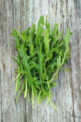 Rucola