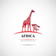 Label with a picture of a giraffe. Vector.