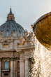St Peter's Basilica Cathedral architecture detail fountain