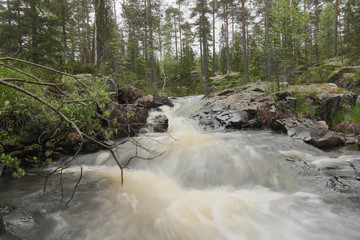 Poster - Natural river, nature reserve in Sweden