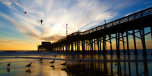 Newport Beach California Pier At Sunset In The Golden Silhouette