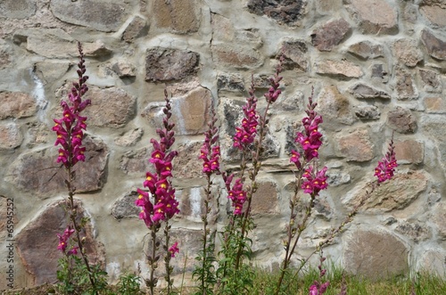 Naklejka dekoracyjna Blumen vor Natursteimmauer