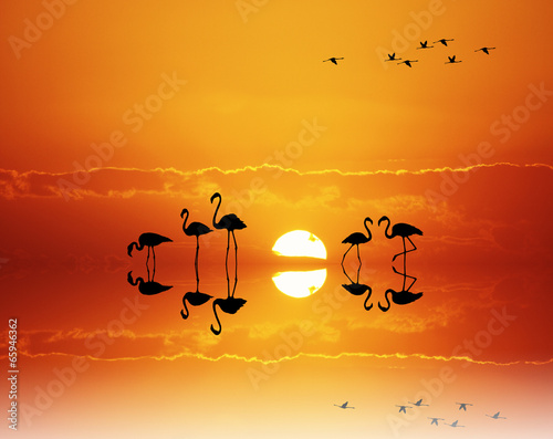 Plakat na papierze fotorealistycznym Różowe flamingi o zachodzie słońca