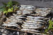 Fresh sardines, mackerel fishes on BBQ grill