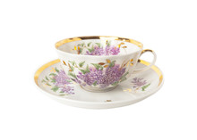 Porcelain Teacup And Saucer With Floral Ornament