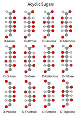 Canvas Print - Structural chemical formulas of monosaccharides (hexoses)