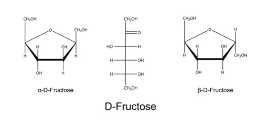 Sticker - Structural chemical formulas of fructose (D-fructose)