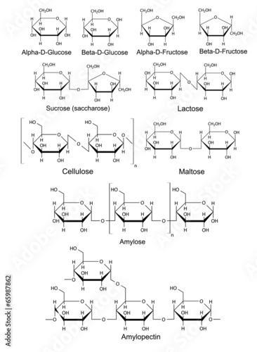 Fotografía Chemical structural formulas of basic carbohydrates