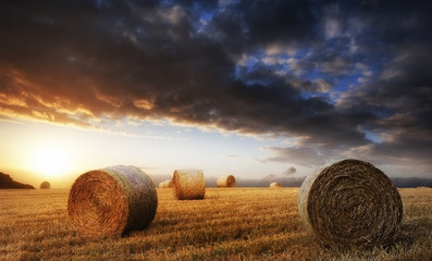 Wall Mural - Beautiful golden hour hay bales sunset landscape