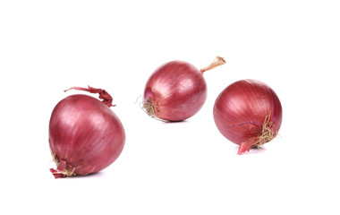Wall Mural - Three red onions.
