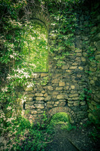 Backdrop Image Of Stone Castle Walls Covered In Greenery