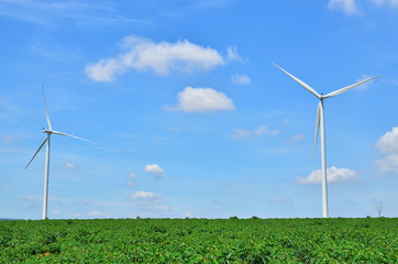 Wind Turbine Energy Fields