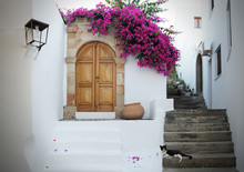 In Greece: White Walls, Fuchsia Flowers, Stairs And Cat Relaxing