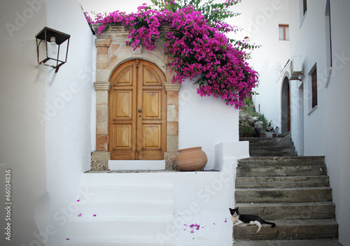 Fototapeta na wymiar In Greece: white walls, fuchsia flowers, stairs and cat relaxing