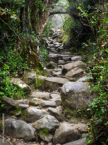 Obraz w ramie Rocky Trail at Mount Kinabalu in Sabah, Malaysia