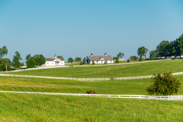 Wall Mural - Countryside