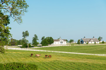 Wall Mural - Countryside