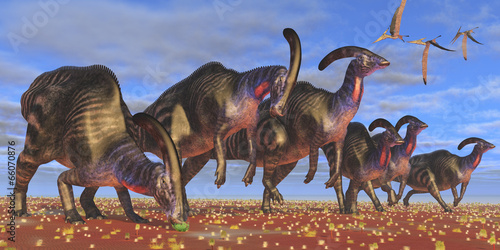Obraz w ramie Parasaurolophus Herd