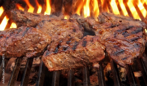 Grilled Beef Steaks. Canvas Print