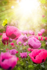Aufkleber - abstract summer Floral background