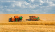 © HaiGala - Harvesting wheat harvesters on the background field and blue sky
