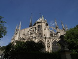 Fototapeta Paryż - Catedral de Notre Dame en París