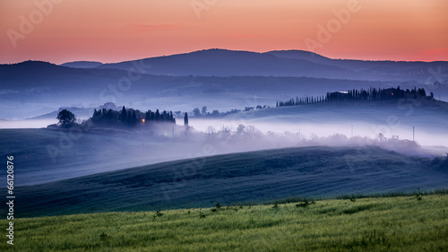 Naklejka dekoracyjna Farm of olive groves and vineyards in foggy morning