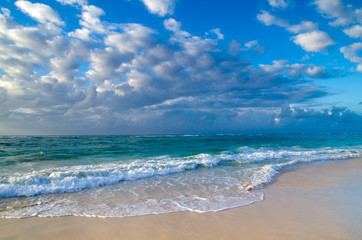 Canvas Print - tropical sea