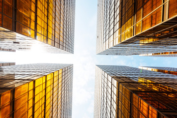 Modern glass silhouettes of skyscrapers in the city