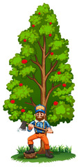 Poster - A lumberjack under the tall tree