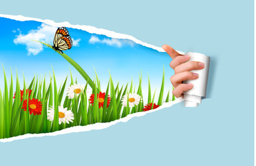 Poster - Summer background with flowers, grass and a ladybug. Vector.