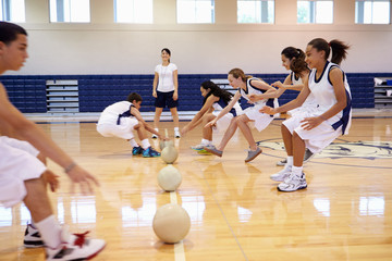 Wall Mural - High School Students Playing Dodge Ball In Gym