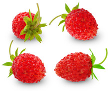 Ripe Wild Strawberry