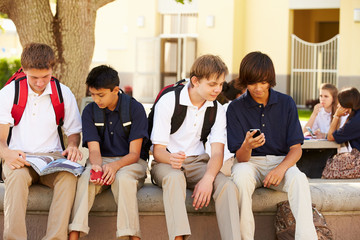 Wall Mural - male high school students using mobile phones on school campus