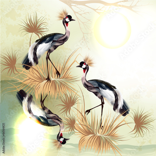 Obraz w ramie Beautiful outdoor background with birds in Chinese style