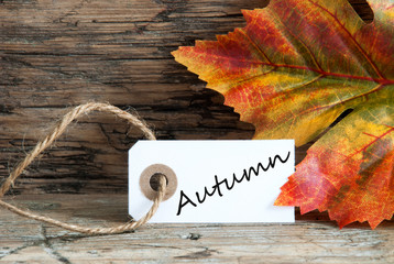 Wall Mural - Autumn on a Label