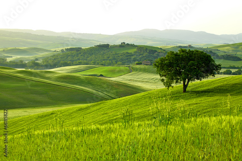 Board z aluminiowym obramowaniem Wieś, san quirico d`orcia, toskania, włochy