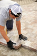 Paver stone landscaping