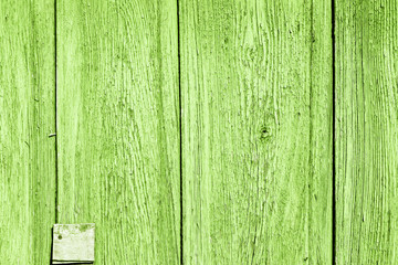 The green wood texture with natural patterns