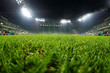 © irontrybex - stadium, close up on grass