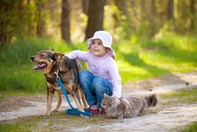 Little Girl With Big Dog And Cat In The Forest
