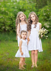 Wall Mural - Portrait of three young girlfriends with daisies