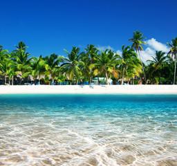 Canvas Print - tropical beach