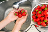 Fototapeta  - girl washes strawberries