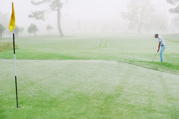 Wall Mural - chip shot golf