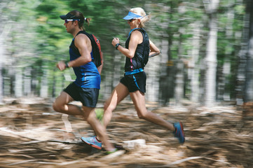 Wall Mural - motion blur forest trail run