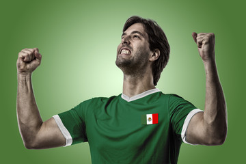 Wall Mural - Mexican soccer player