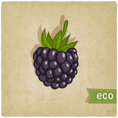 Poster - blackberry eco background