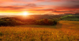 Fototapeta Zachód słońca - Beautiful sunset on the field - in shades of orange