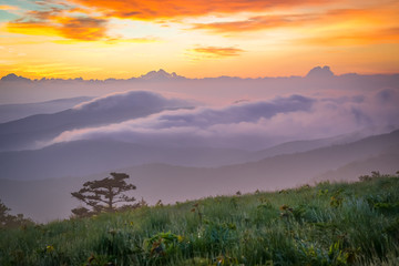 Wall Mural - Smoky Mountain Sunrise